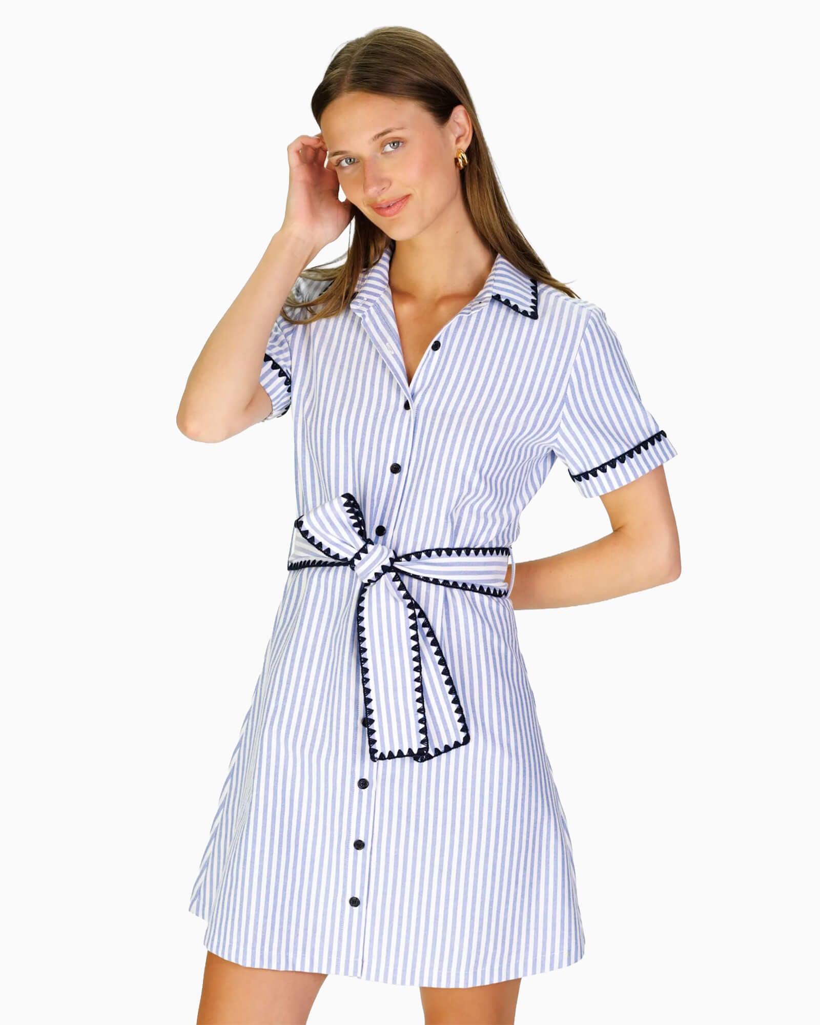 Atwood Dress in Blue Oxford Stripe