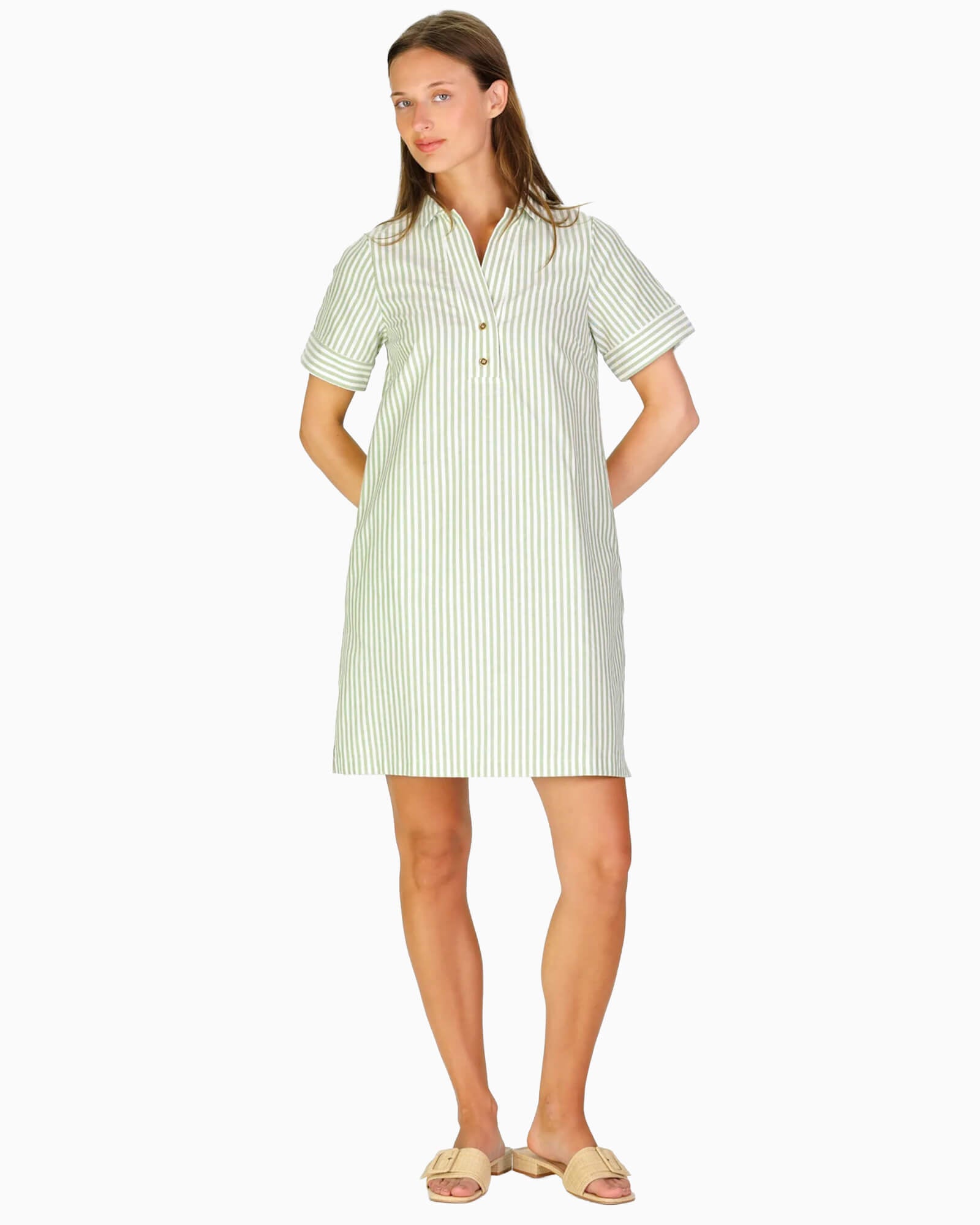 Banks Dress in Green Oxford Stripe