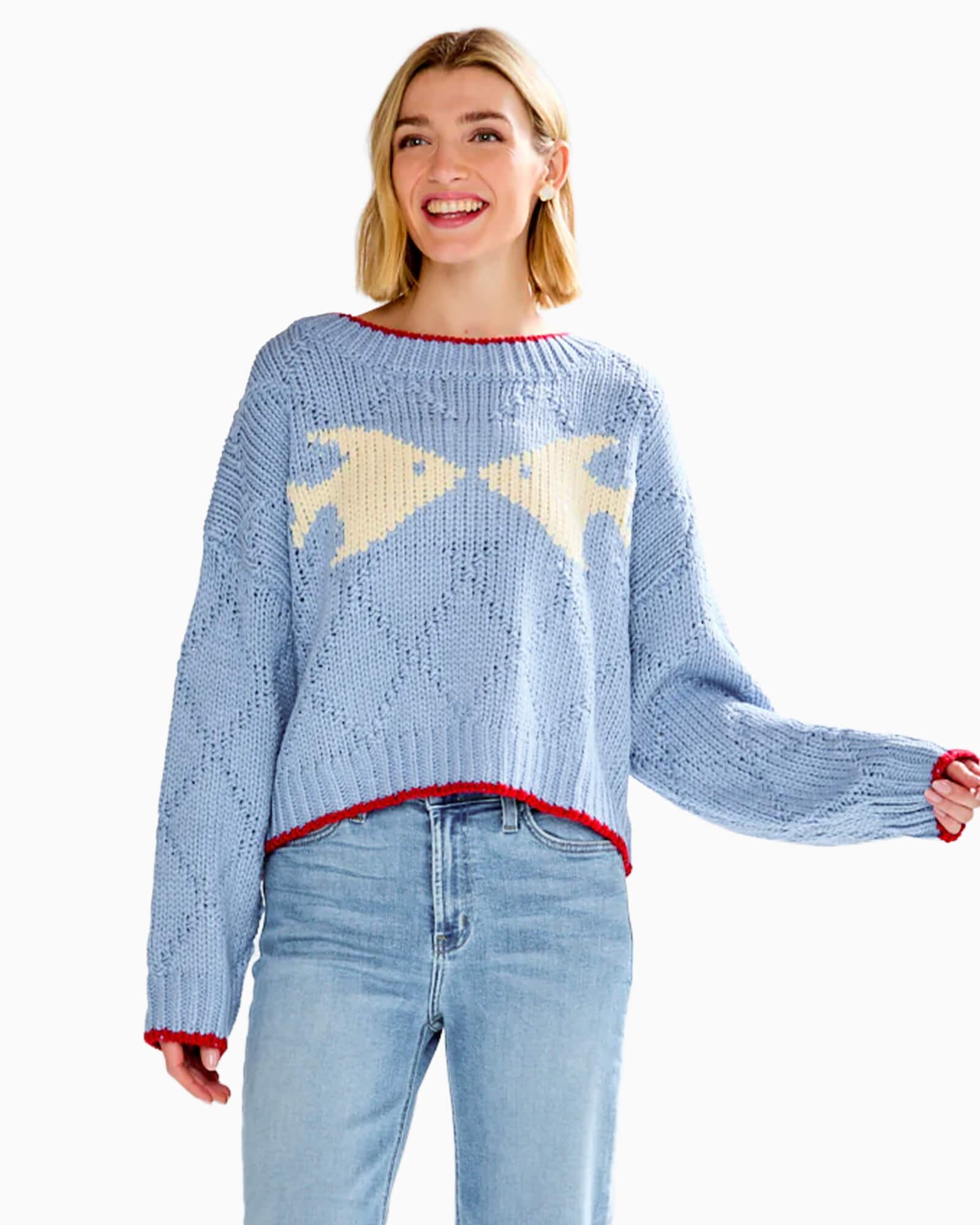 Fish Pullover Sweater Light Blue - Purple Poppy