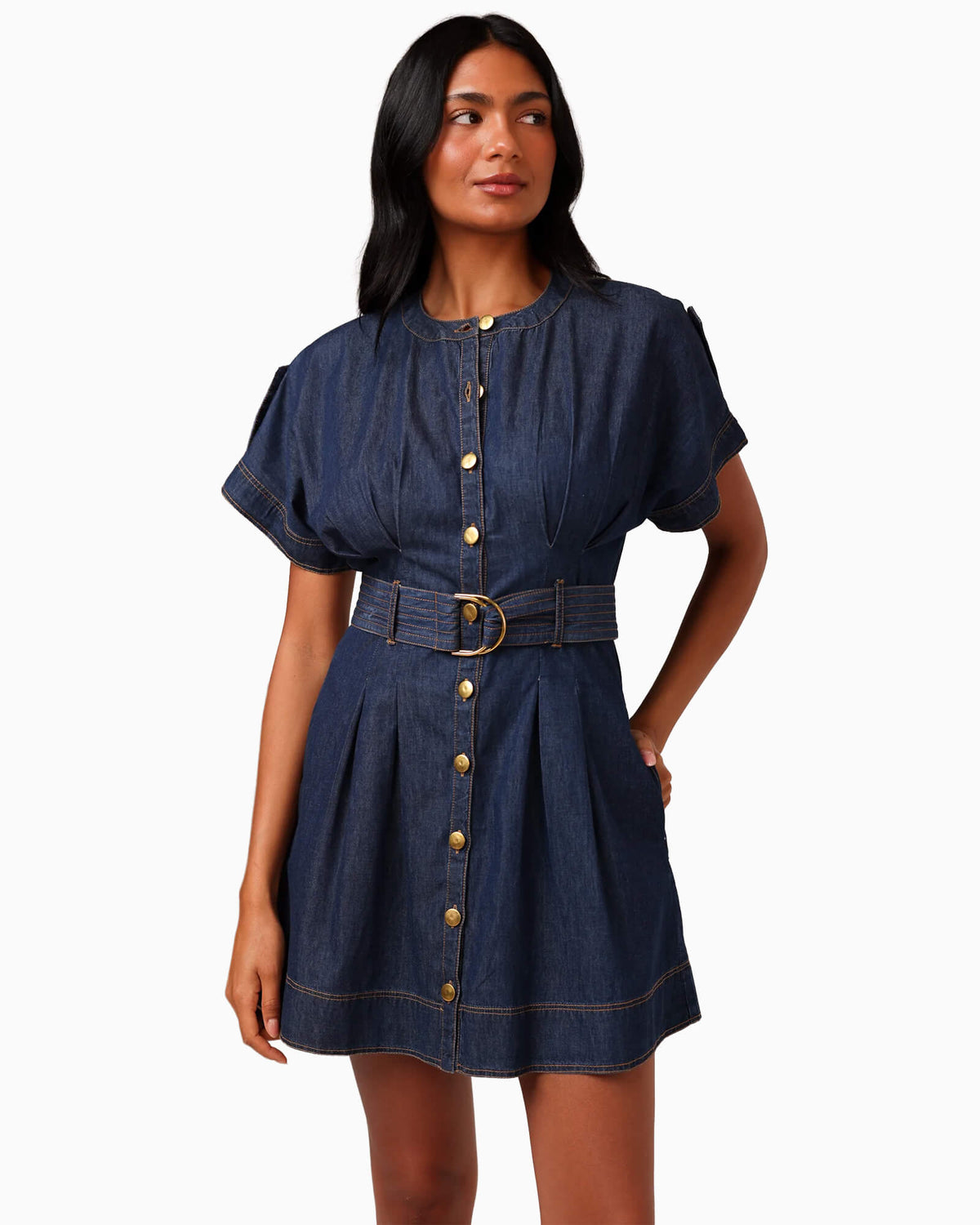Nicolette Mini Dress