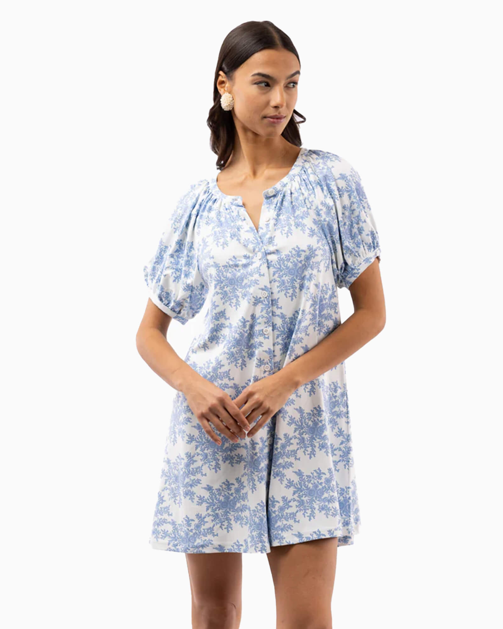 The Posie Dress Rose Bushel Blue