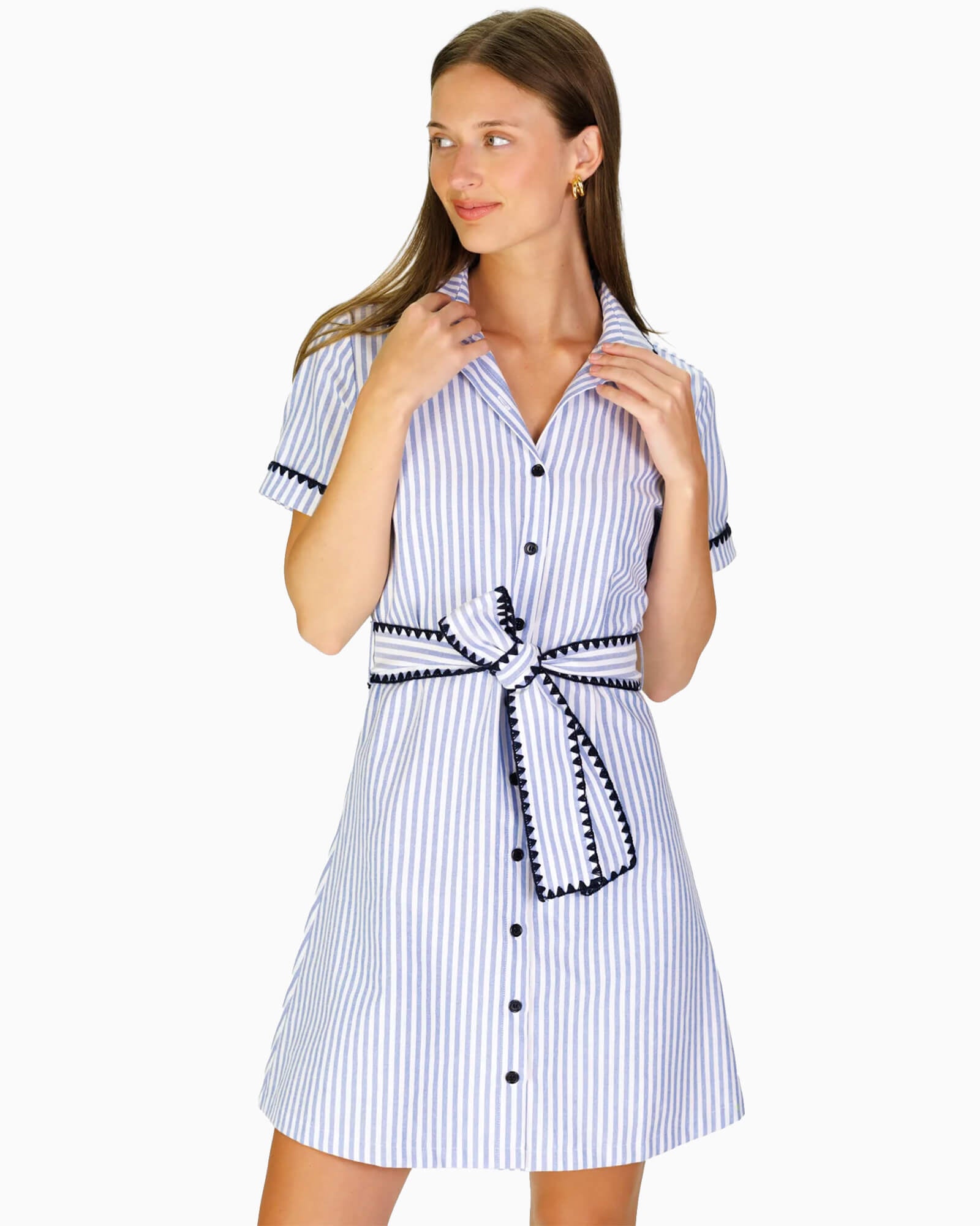 Atwood Dress in Blue Oxford Stripe - Purple Poppy
