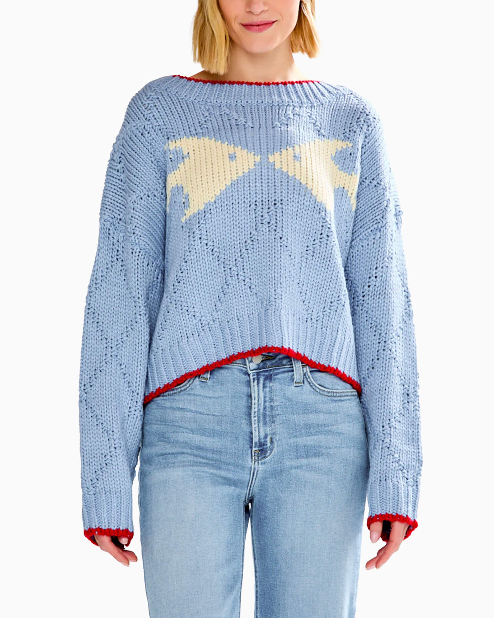 Fish Pullover Sweater Light Blue - Purple Poppy