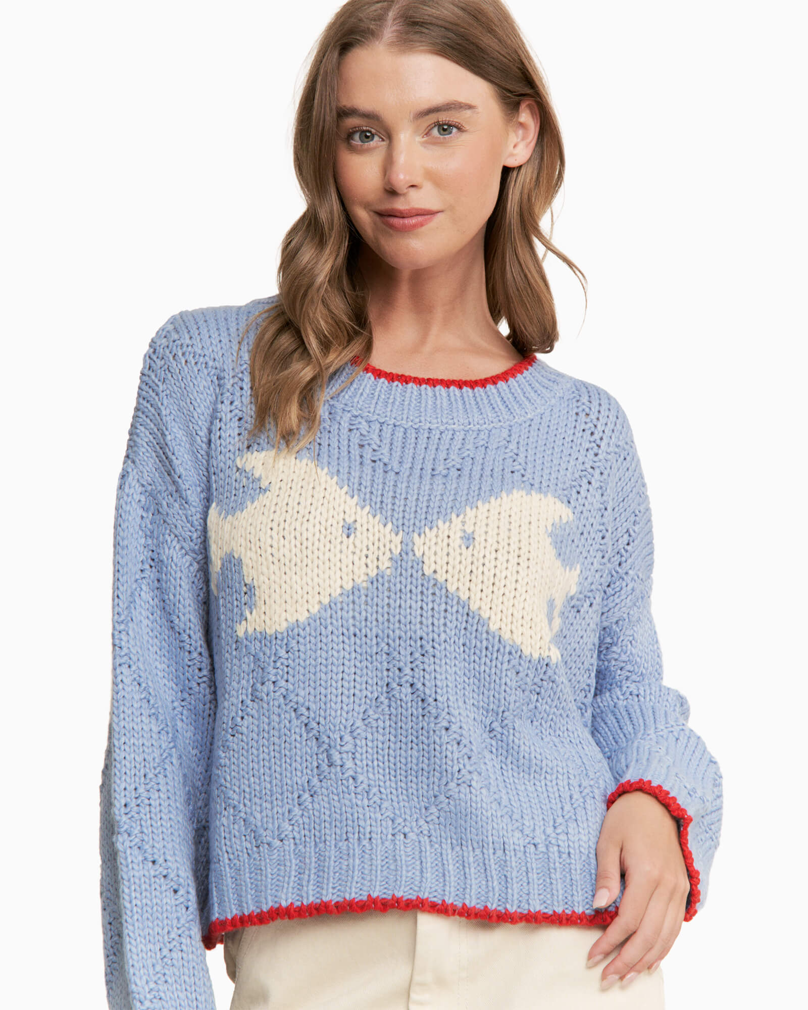 Fish Pullover Sweater Light Blue - Purple Poppy