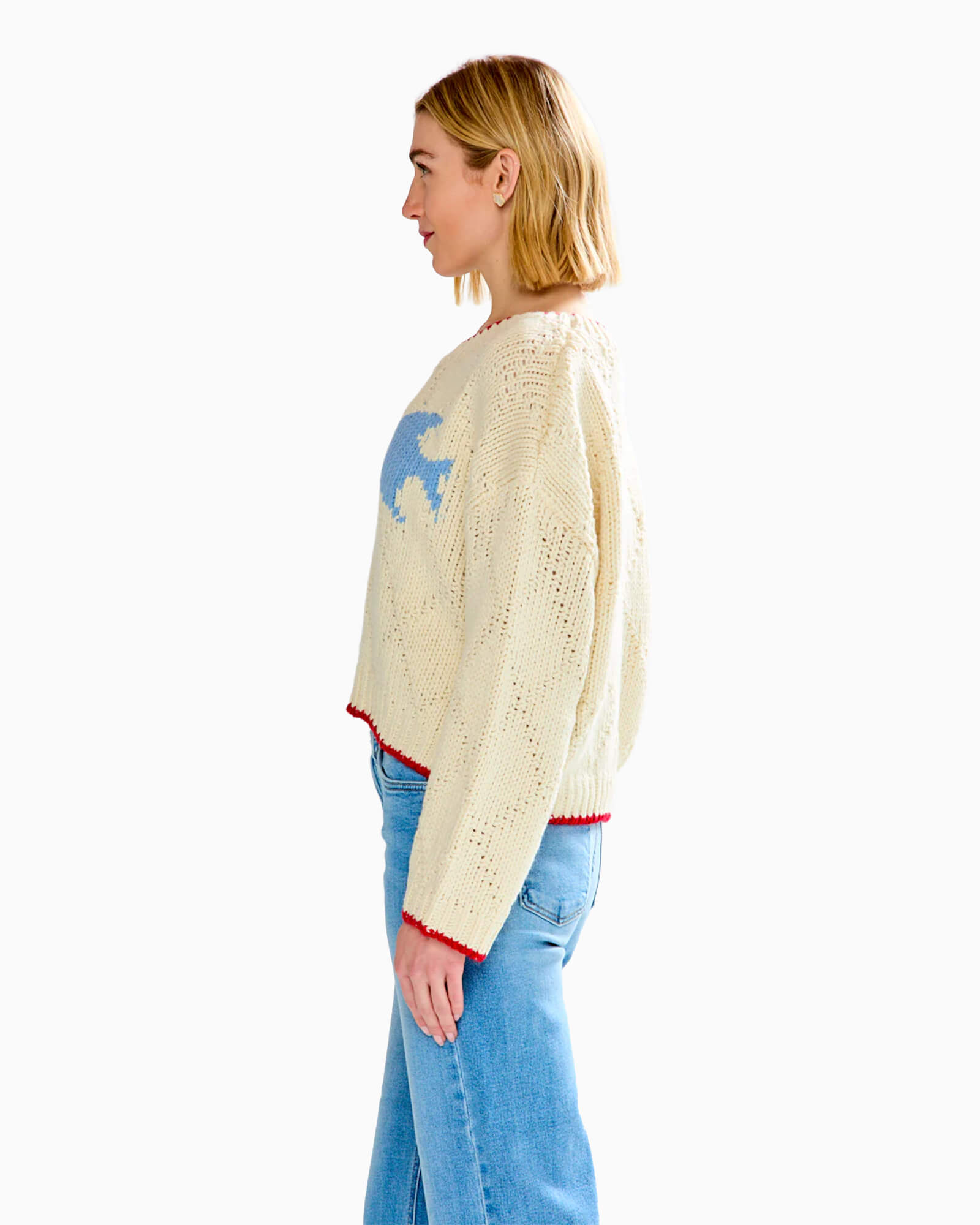 Fish Pullover Sweater Cream/Light Blue - Purple Poppy
