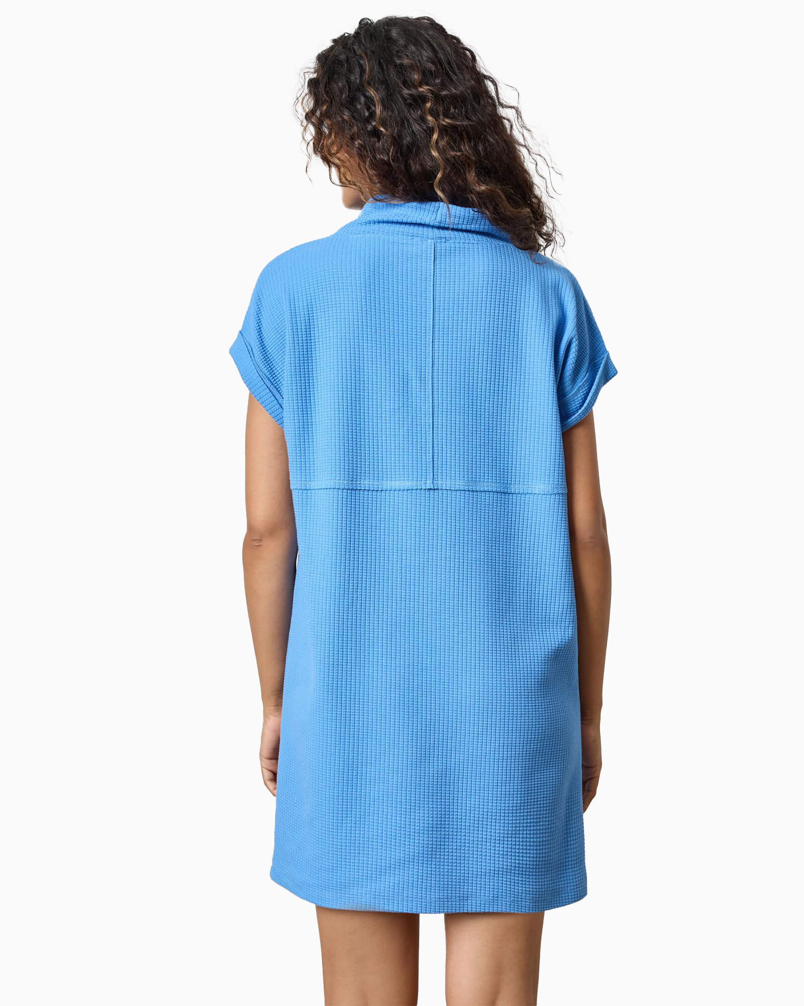 Roll Sleeve Seamed Dress BlueJay