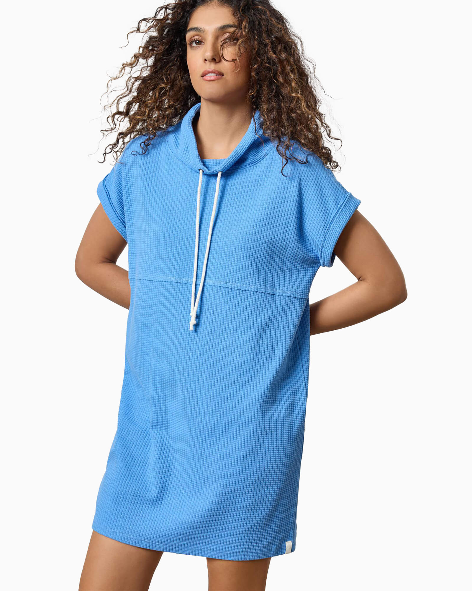 Roll Sleeve Seamed Dress BlueJay