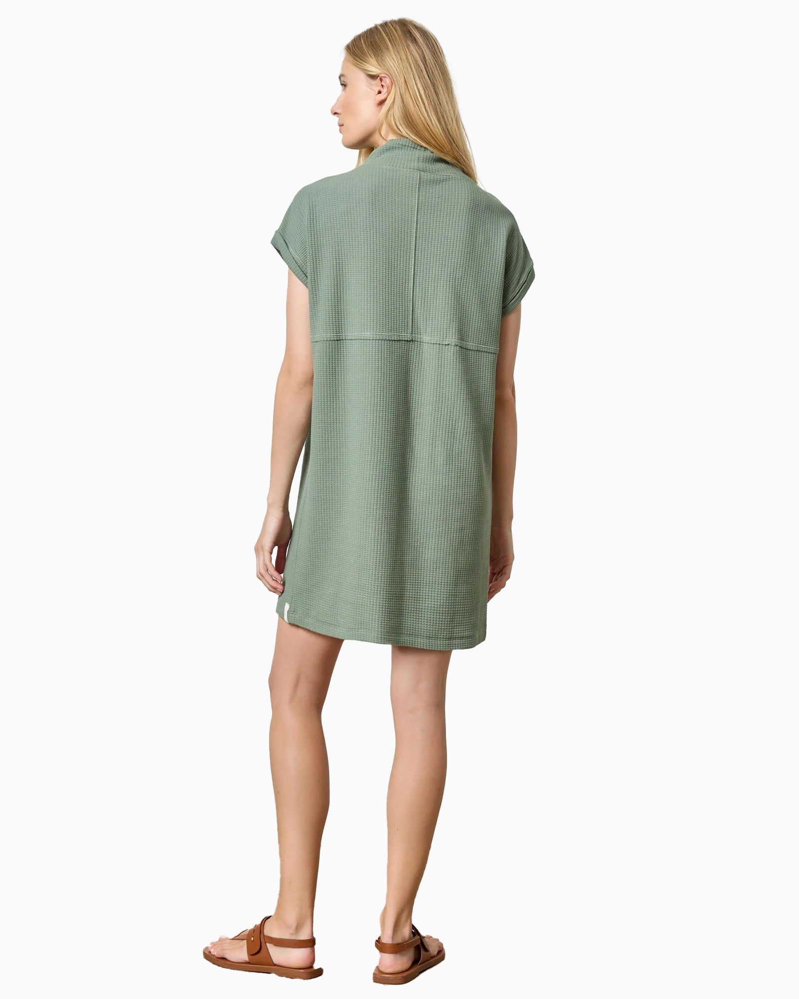 Roll Sleeve Seamed Dress Seagrass