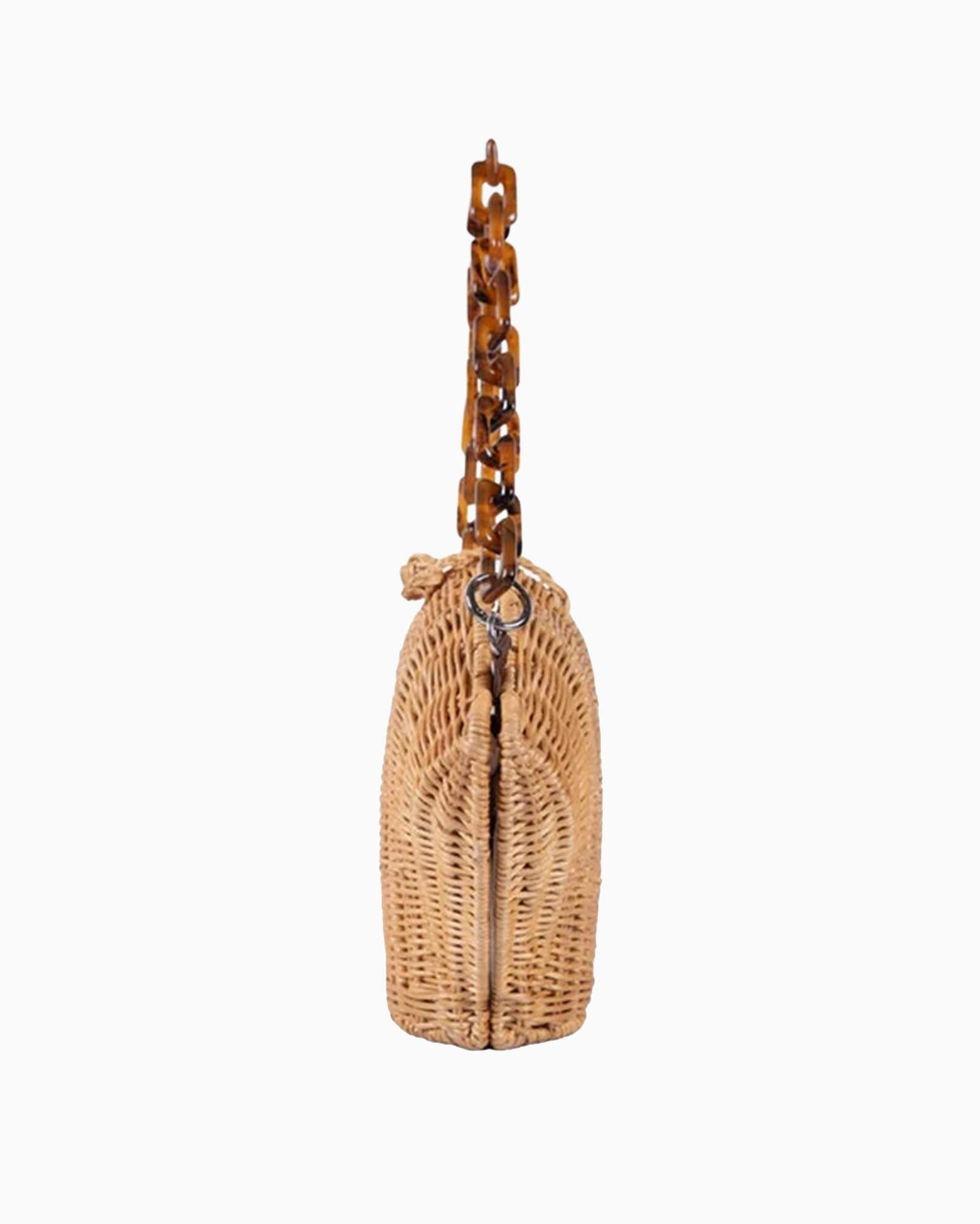 Shelie Tortoise Crossbody Bag
